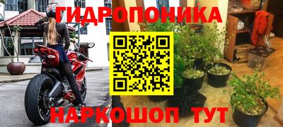 прущие крисы Свободный