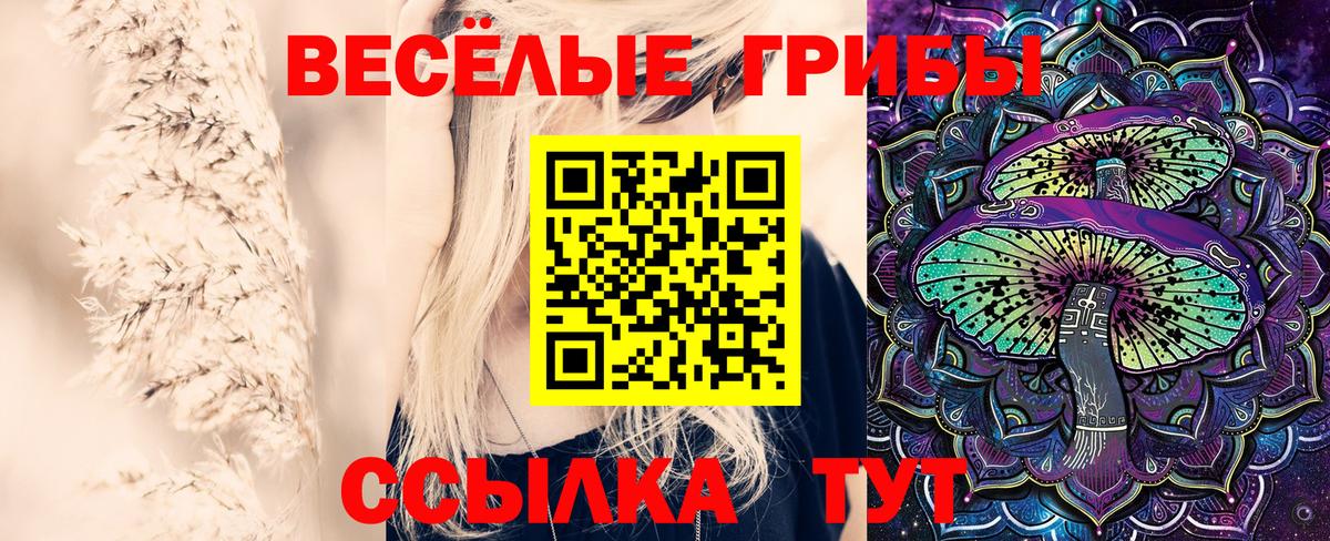 купить   Галлюциногенные грибы ЛСД  Вход с VPN  Галлюциногенные грибы MAGIC MUSHROOMS  Нурлат 
