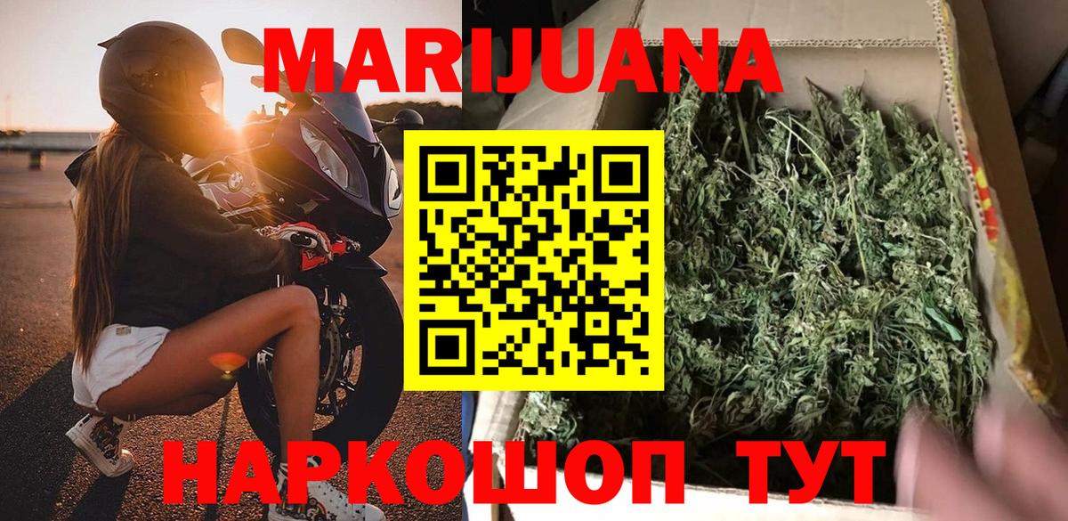 Канабис планчик Нурлат